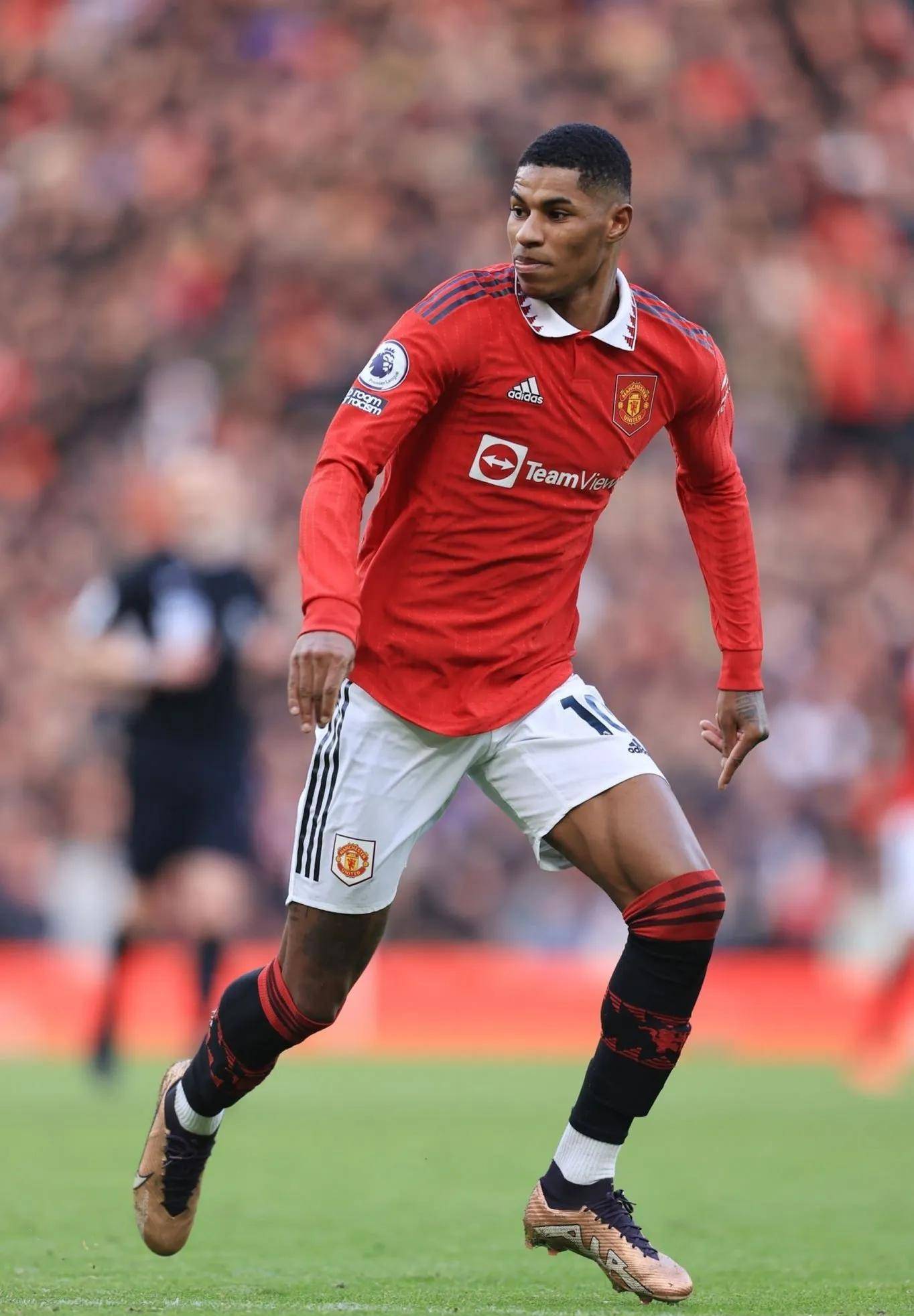 了有效调整 了有效调整