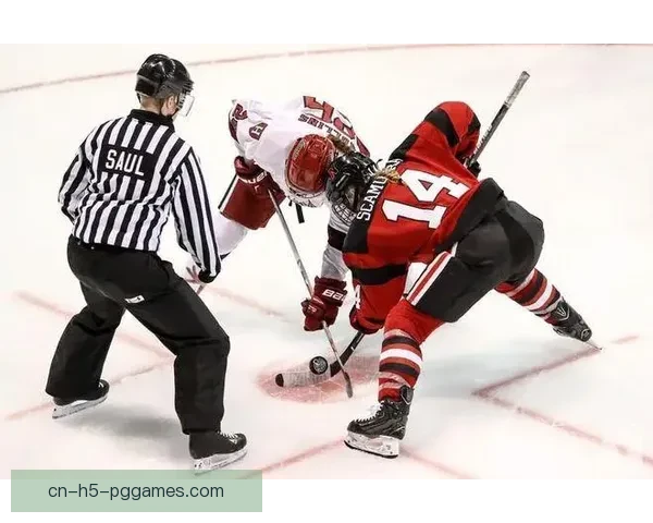 冰球数据深度解析：洞察胜负关键因素