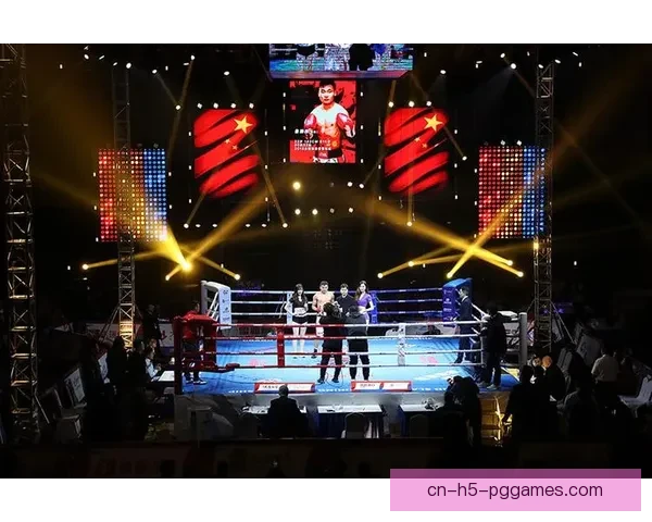 拳击盛事：精彩赛程一览