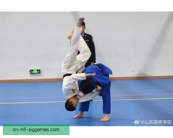 柔道比赛精彩回放：技艺较量，搏击情意
