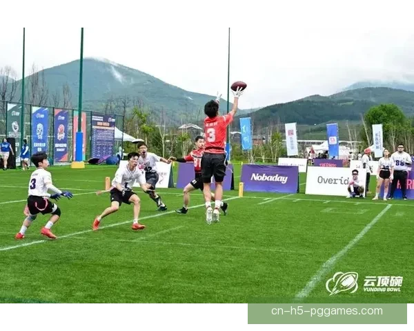 橄榄球世界纪录大揭秘，挑战极限引爆全球热潮