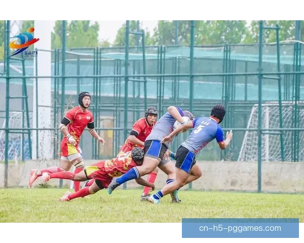 橄榄球热潮席卷：赛场风云再起