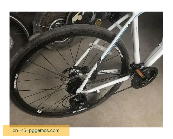 自行车爱好者必备：全球最热门自行车排名及评测对比